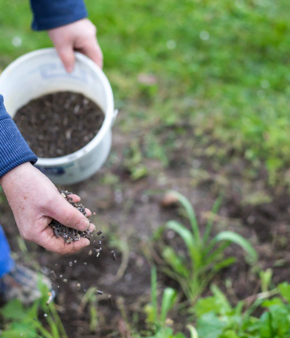 Fertilizer, Seed & Straw Service
