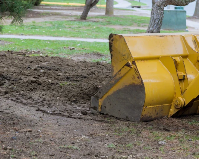 lane clearing & dirtc